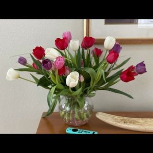 Meet your Posher, Mary